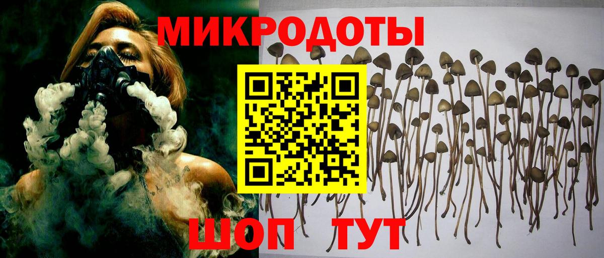 Псилоцибиновые грибы MAGIC MUSHROOMS Артёмовский